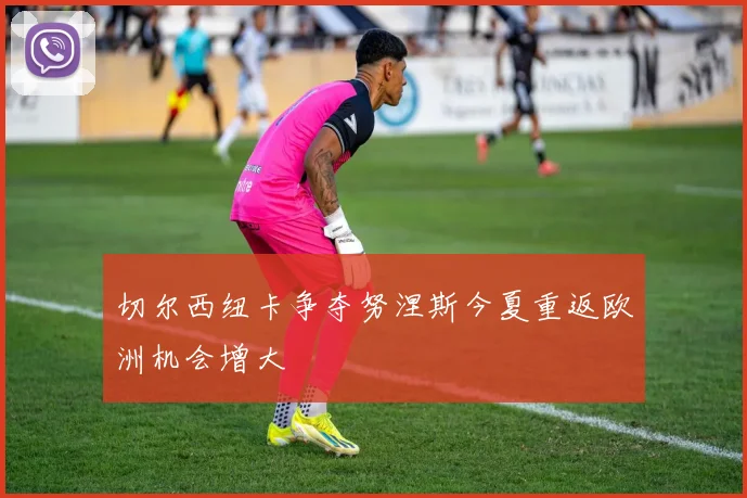 切尔西纽卡争夺努涅斯今夏重返欧洲机会增大