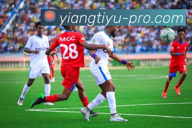 App Interface Preview